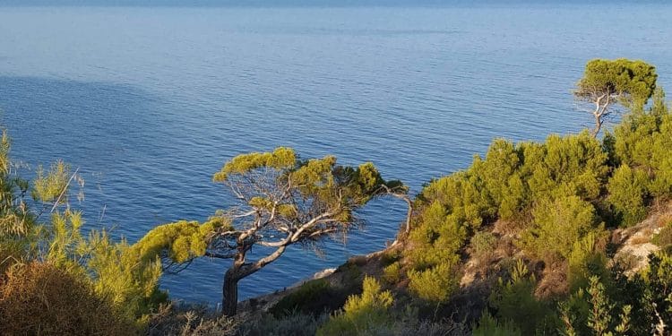 meilleurs conseils pour la location de bateau en Grèce